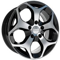 ���� ������� . ����������� ����: �����, ������ ��������� �����, ������� � ���� �� ������.