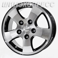 ���� ����