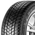 GT-Radial WinterPro2