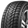 Delinte Winter WD1