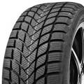 Delinte Winter WD6