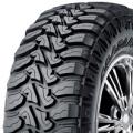 Nexen Roadian MTX RM7